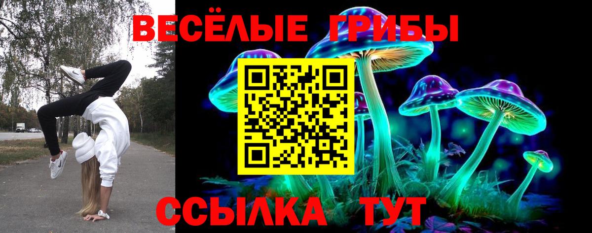 Галлюциногенные грибы Psilocybine cubensis  Вход с VPN  Партизанск 