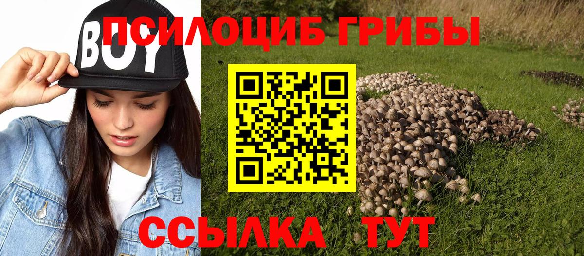 Галлюциногенные грибы ЛСД Партизанск